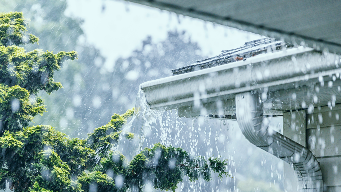 The Hidden Costs of Ignoring Roof Leaks — and How Sealtek Can Help